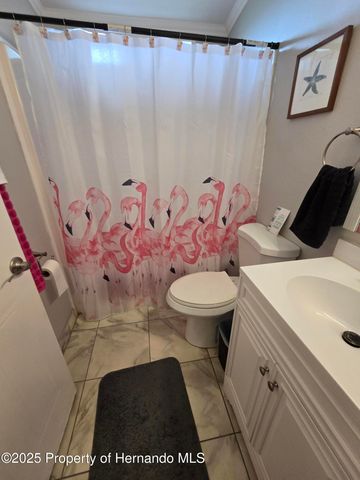 9223 Basil Street, Brooksville, FL 34613