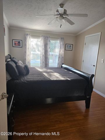 9223 Basil Street, Brooksville, FL 34613