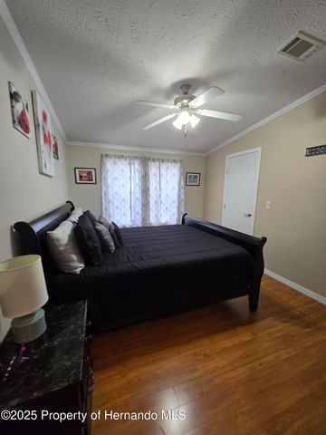 9223 Basil Street, Brooksville, FL 34613