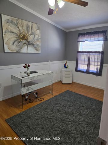 9223 Basil Street, Brooksville, FL 34613