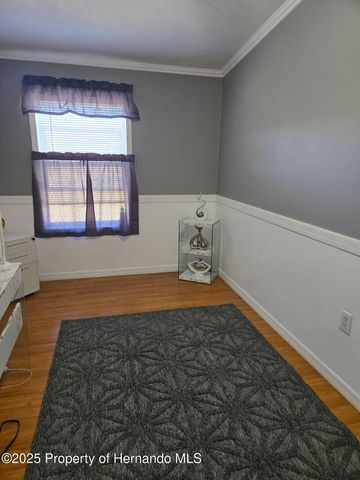 9223 Basil Street, Brooksville, FL 34613