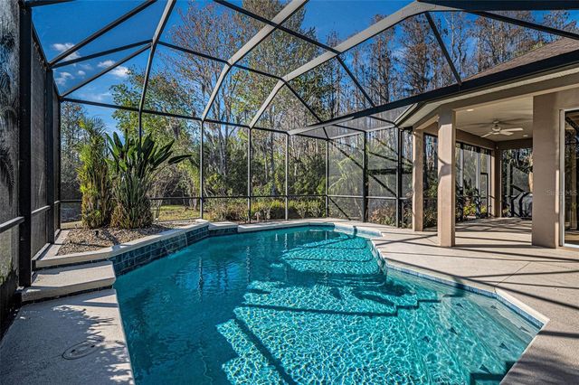 3305 SHEEHAN DRIVE, Land O Lakes, FL 34638