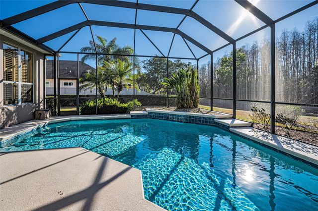 3305 SHEEHAN DRIVE, Land O Lakes, FL 34638