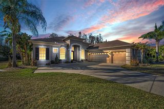 3305 SHEEHAN DRIVE, Land O Lakes, FL 34638