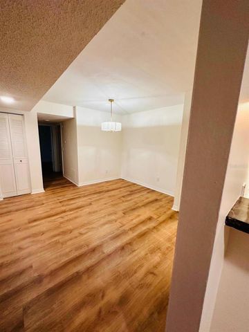 4411 SHADY TERRACE LANE 107, Tampa, FL 33613