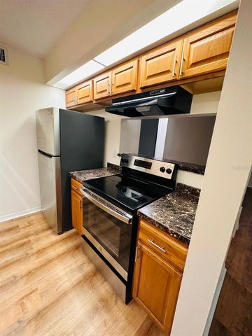 4411 SHADY TERRACE LANE 107, Tampa, FL 33613