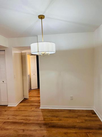 4411 SHADY TERRACE LANE 107, Tampa, FL 33613