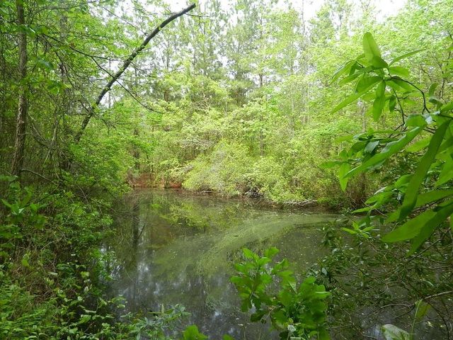 00 Lewis Road, Zebulon, NC 27597