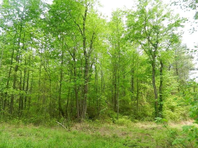 00 Lewis Road, Zebulon, NC 27597