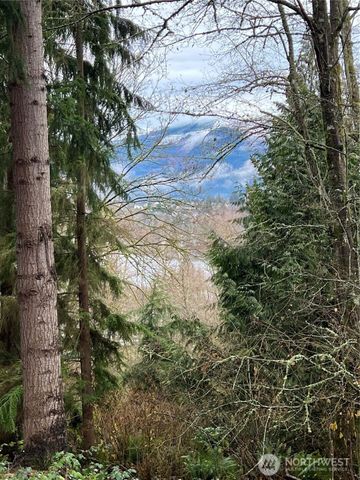 22850 Little Mountain Road, Mount Vernon, WA 98274