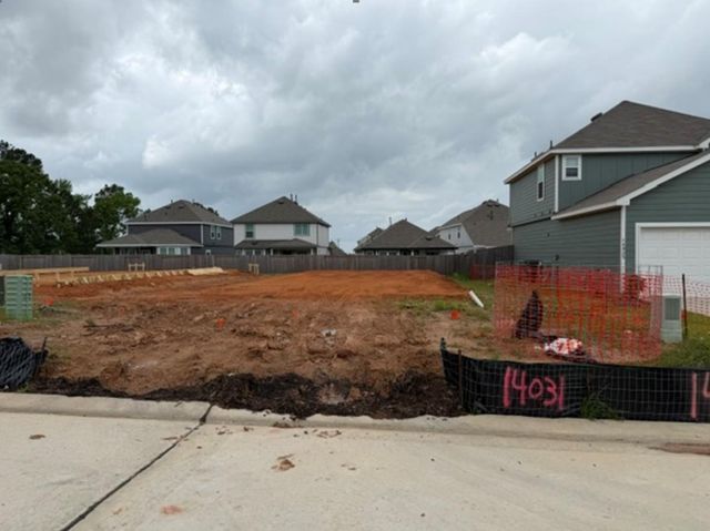 14031 Mount Hunter Drive, Willis, TX 77318