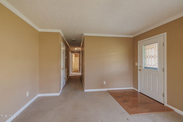 137 Meadow Springs Lane, Mount Carmel, TN 37645