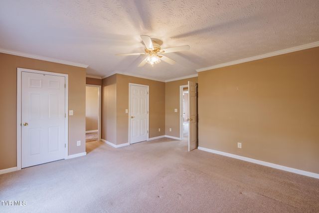 137 Meadow Springs Lane, Mount Carmel, TN 37645