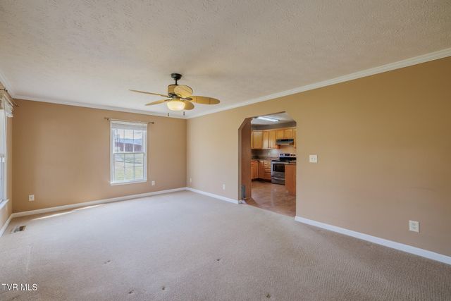 137 Meadow Springs Lane, Mount Carmel, TN 37645