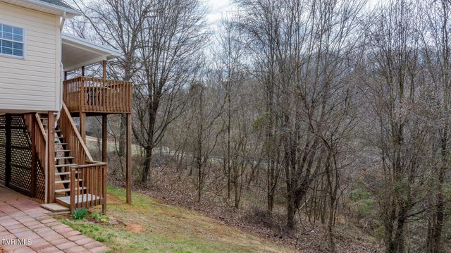 137 Meadow Springs Lane, Mount Carmel, TN 37645