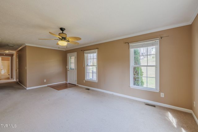 137 Meadow Springs Lane, Mount Carmel, TN 37645