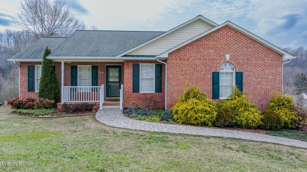 137 Meadow Springs Lane, Mount Carmel, TN 37645