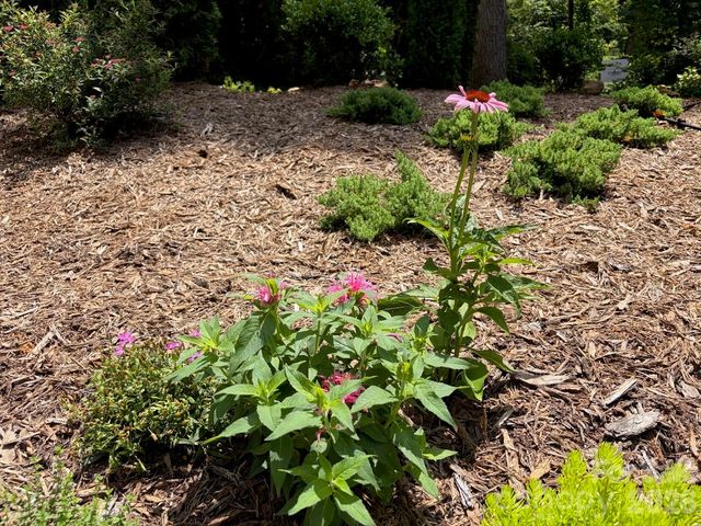 78 Tupper Road, Black Mountain, NC 28711