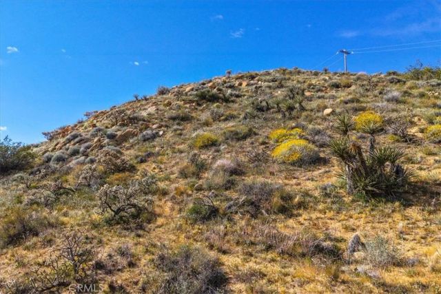 8500 S Samel Road, Morongo Valley, CA 92256