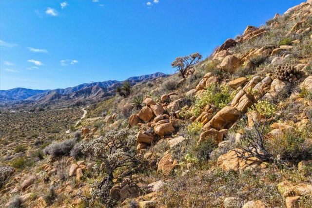 8500 S Samel Road, Morongo Valley, CA 92256