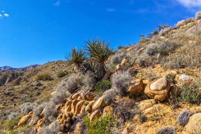 8500 S Samel Road, Morongo Valley, CA 92256