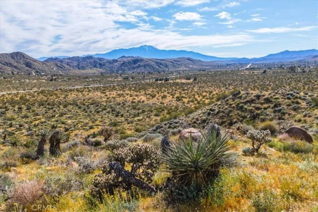 8500 S Samel Road, Morongo Valley, CA 92256