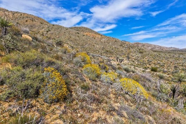 8500 S Samel Road, Morongo Valley, CA 92256