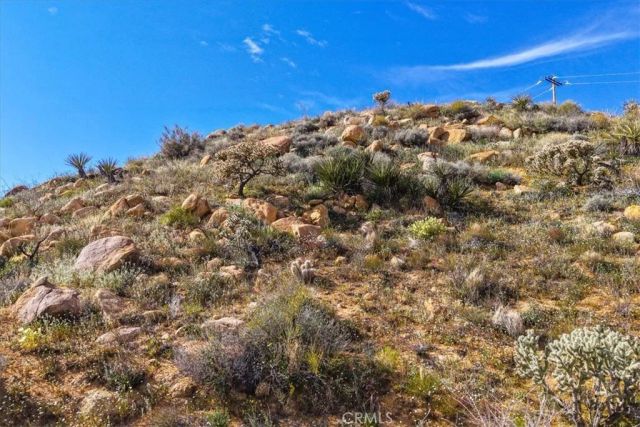 8500 S Samel Road, Morongo Valley, CA 92256