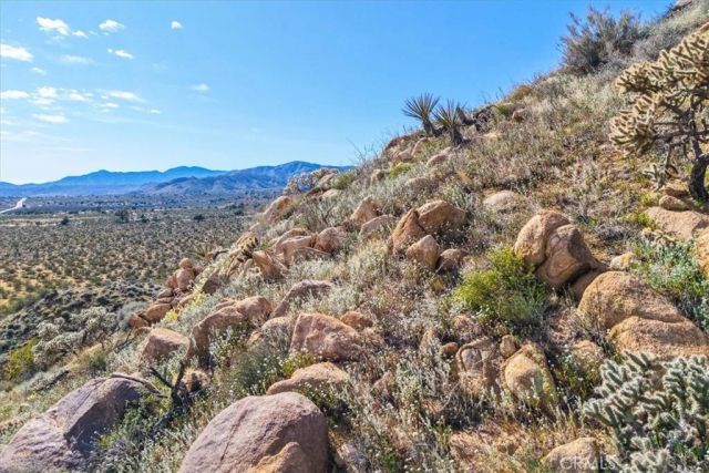 8500 S Samel Road, Morongo Valley, CA 92256