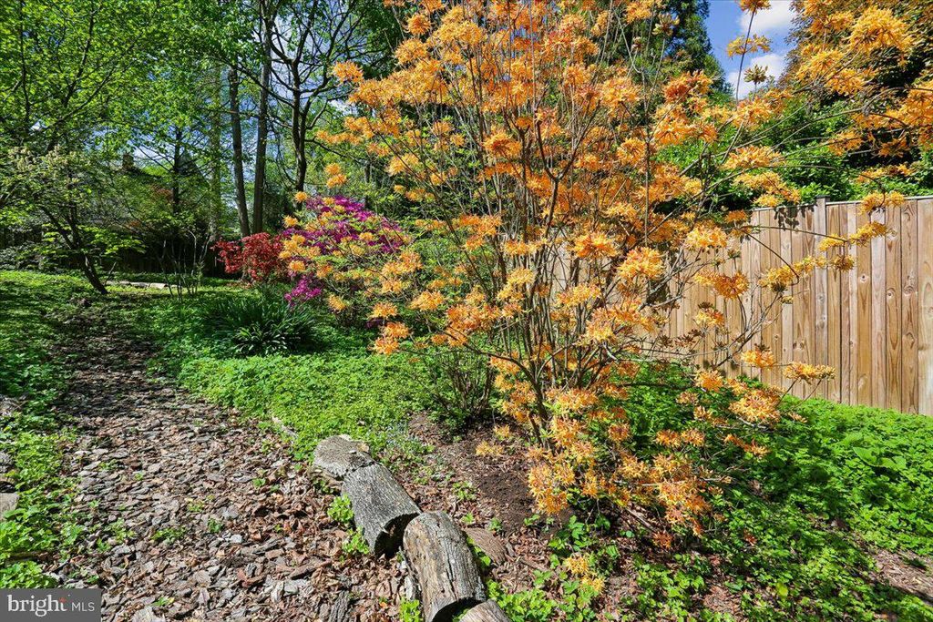 Image 53 of property listing at 11012 MONTROSE AVE, Garrett Park, MD 20896