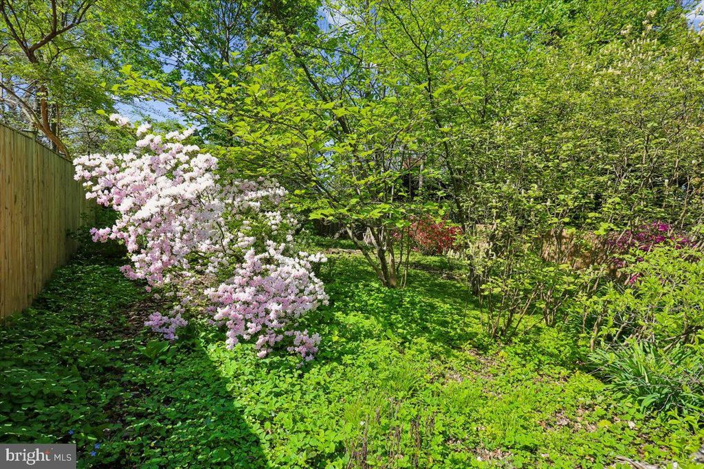 Image 54 of property listing at 11012 MONTROSE AVE, Garrett Park, MD 20896