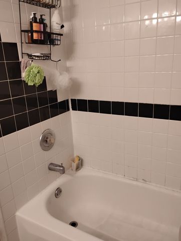 1433 W Walton Street GARDEN, Chicago, IL 60642