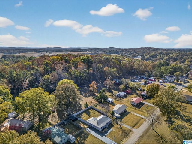 290 WOODARD AVENUE, Eastaboga, AL 36260