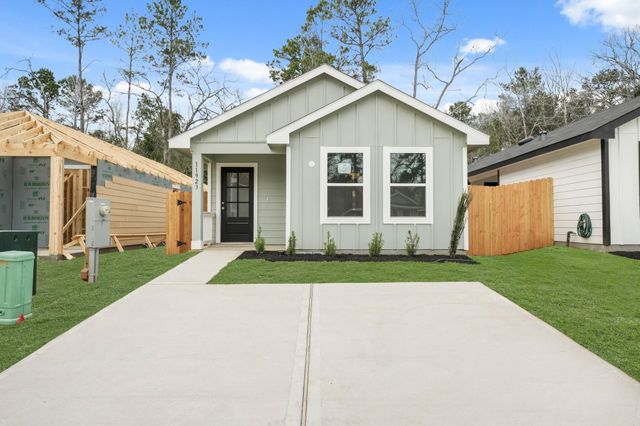 11923 Detar Court, Willis, TX 77378