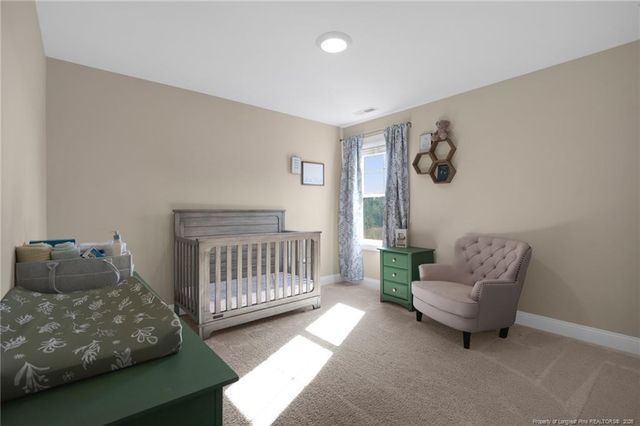 44 Princelet Point, Cameron, NC 28326