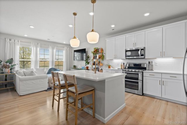 8891 Fraser River Street B, Littleton, CO 80125