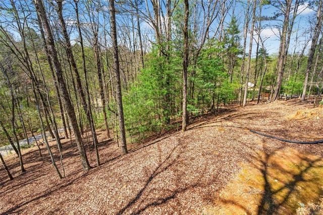 1858 Newport Drive, Ellijay, GA 30540