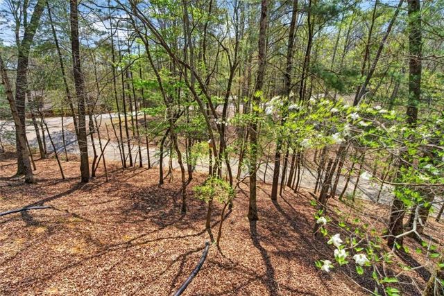 1858 Newport Drive, Ellijay, GA 30540