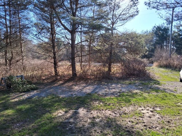 4326 Heath Road, South Branch, MI 48761