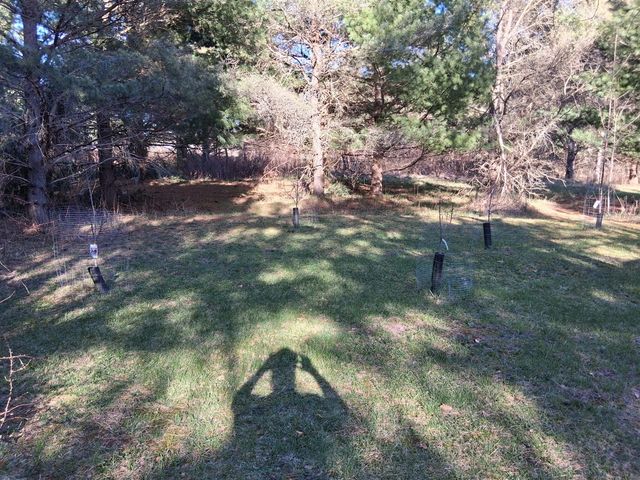 4326 Heath Road, South Branch, MI 48761
