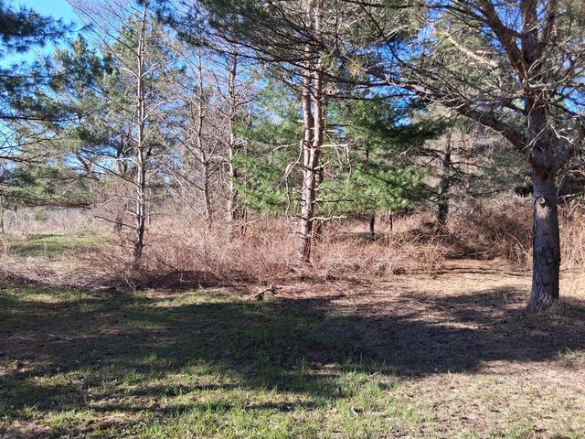 4326 Heath Road, South Branch, MI 48761