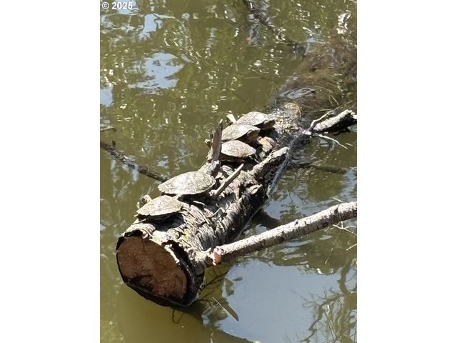 0 RICE CREEK Rd, Winston, OR 97496