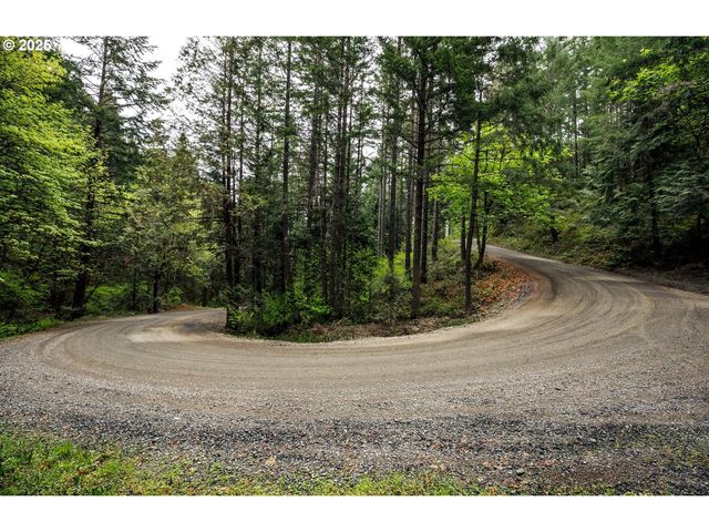 0 RICE CREEK Rd, Winston, OR 97496