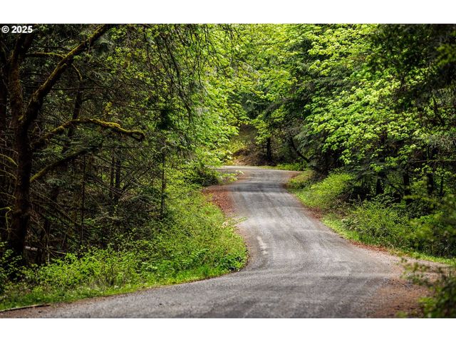 0 RICE CREEK Rd, Winston, OR 97496