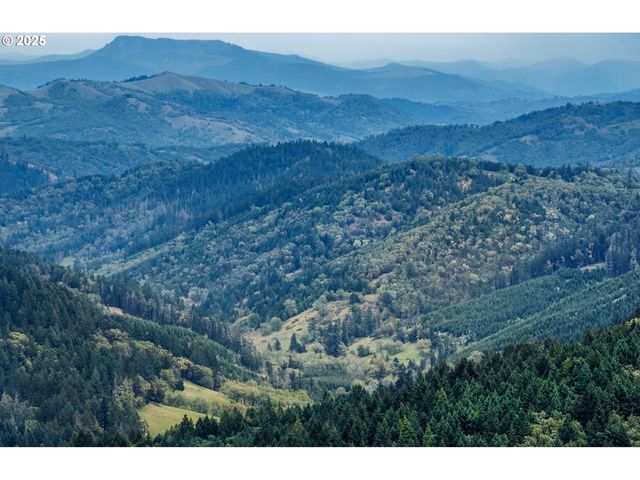 0 RICE CREEK Rd, Winston, OR 97496