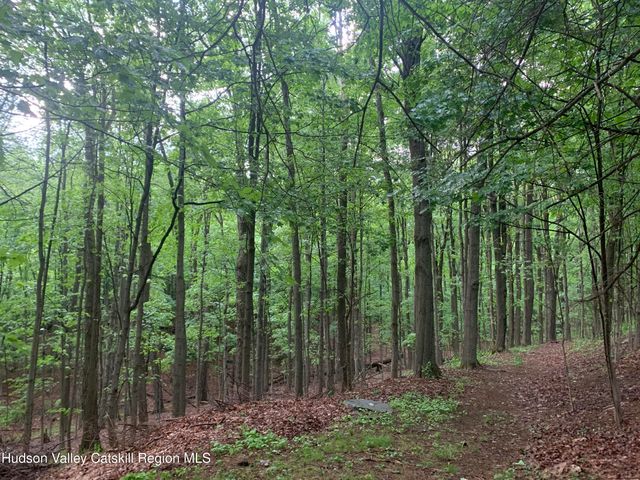 53 Methodist Hill Road, Rensselaerville, NY 12147