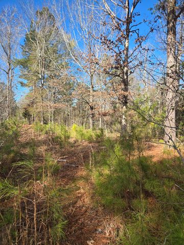 0 Outrigger Drive, Lincolnton, GA 30817