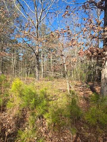 0 Outrigger Drive, Lincolnton, GA 30817