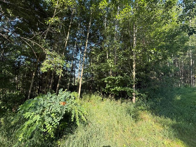 TBD W Royal Road 2, Stanwood, MI 49346