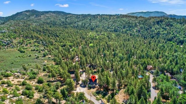 33283 Holcomb Creek, Green Valley Lake, CA 92341